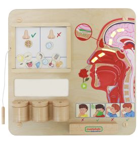 MASTERKIDZ Tablica Edukacyjna Zmysł Węchu