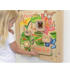 Cykl Życia Motylka Tablica Edukacyjna Masterkidz