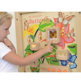 Cykl Życia Motylka Tablica Edukacyjna Masterkidz
