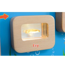 Cykl Życia Ryby Tablica Edukacyjna Masterkidz Podświetlana