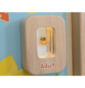 Cykl Życia Pszczoły Edukacyjna Tablica Dla Dzieci Masterkidz