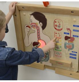 MASTERKIDZ Tablica Edukacyjna Układ Trawienny